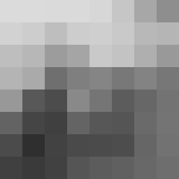Resized, grayscale image
